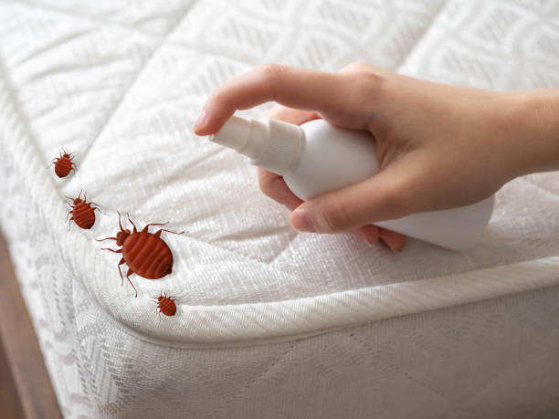 Best Bed Bug Extermination  in Waretown, NJ